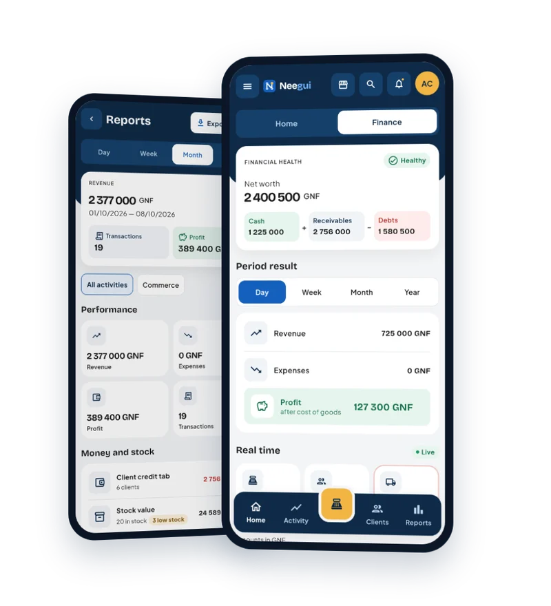 Neegui finance and reports screens
