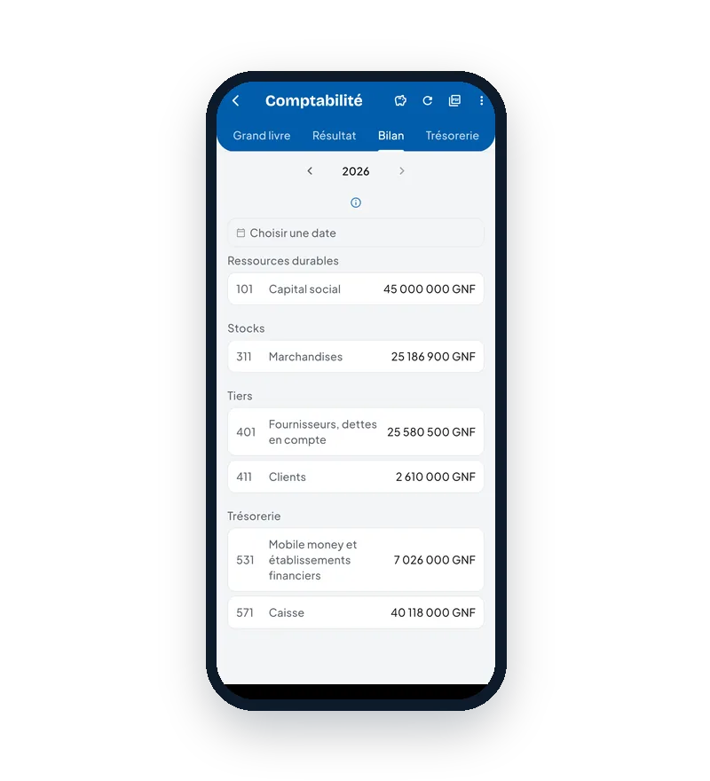 Bilan comptable dans Neegui