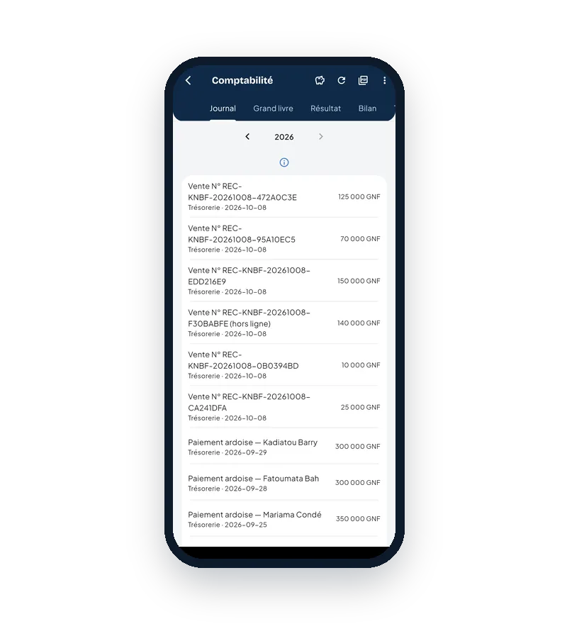 Journal comptable de Neegui avec les écritures du mois
